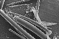 image: 8402